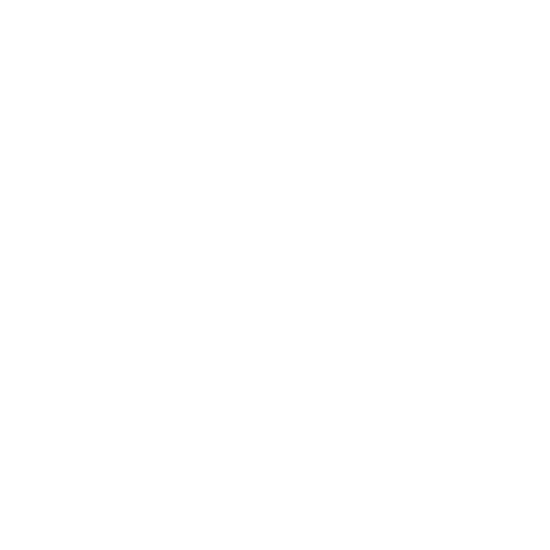 Illustrative chest print with example names
