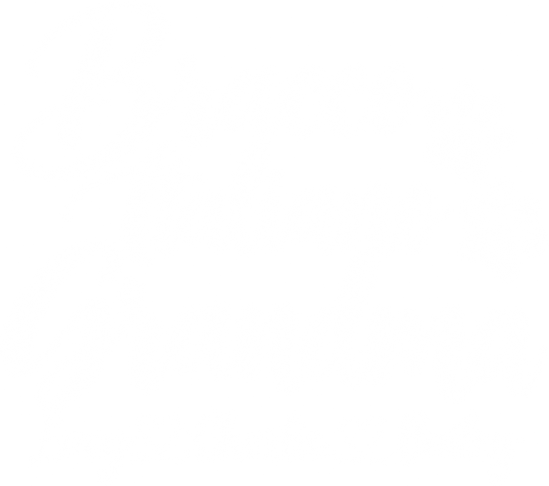 Illustrative chest print with example names