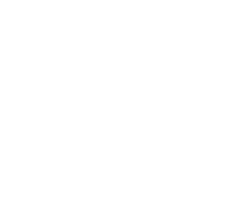 Illustrative chest print with example names