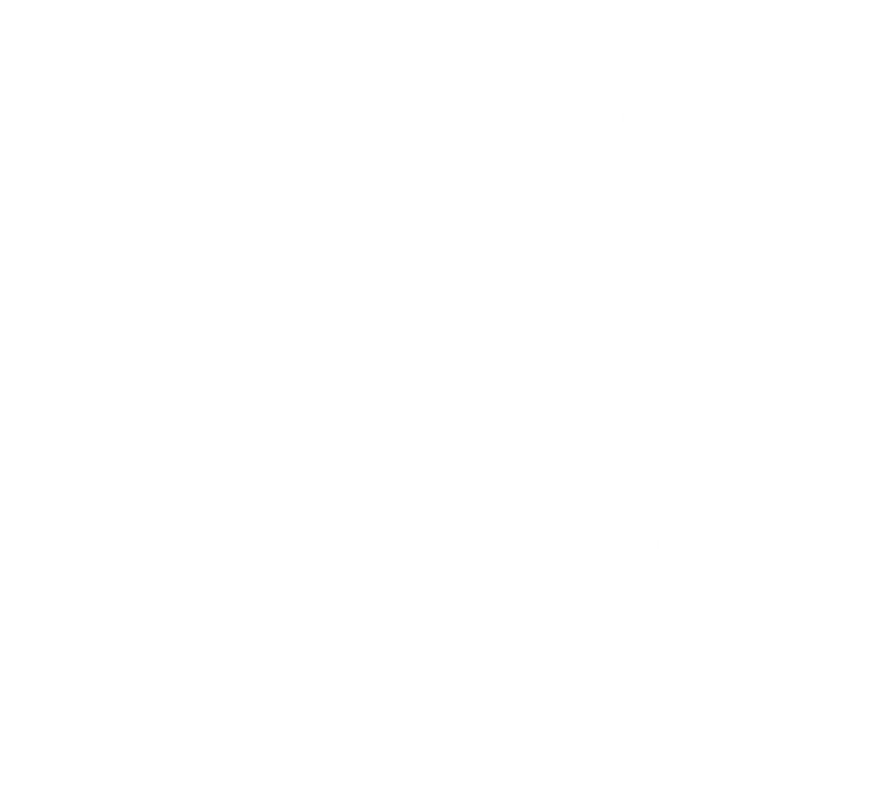 Illustrative chest print with example names