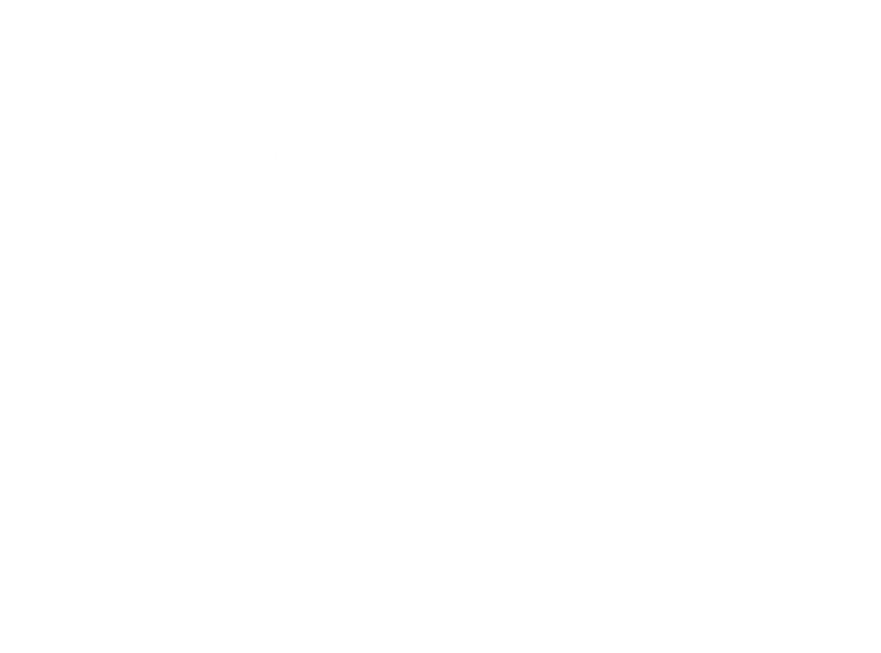 Illustrative chest print with example names