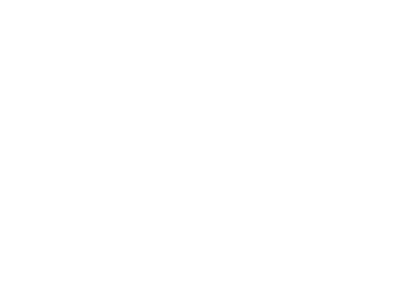 Illustrative chest print with example names