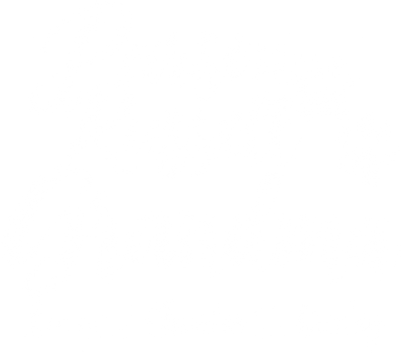Illustrative chest print with example names