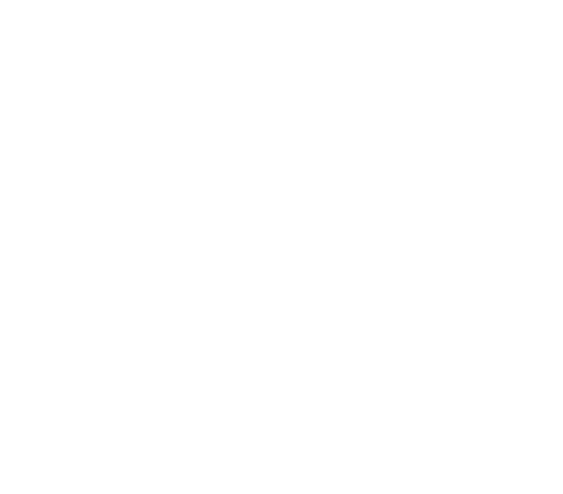 Illustrative chest print with example names