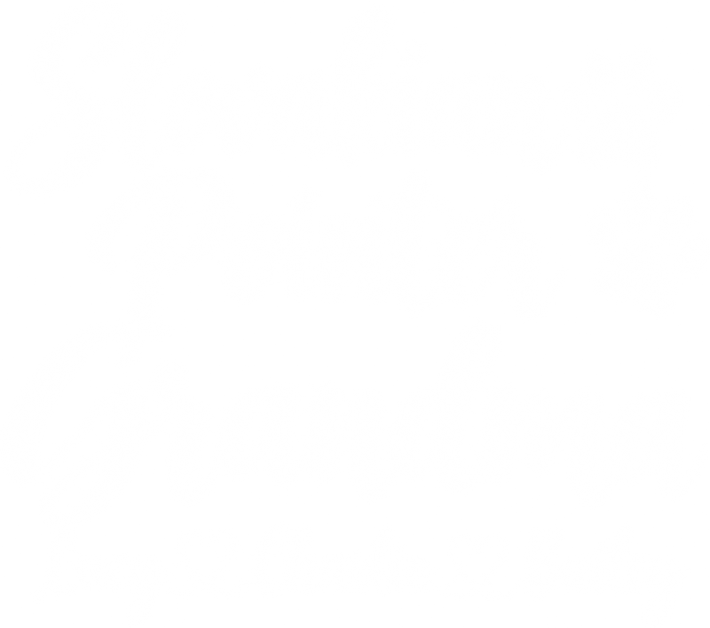 Illustrative chest print with example names