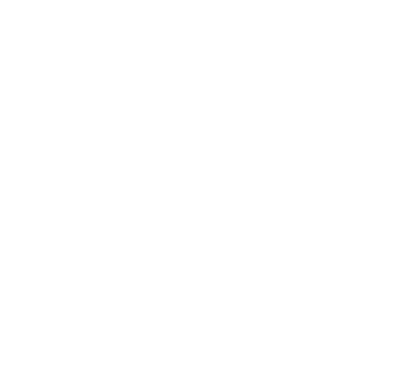 Illustrative chest print with example names