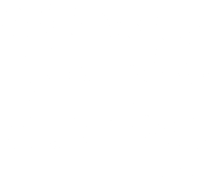 Illustrative chest print with example names