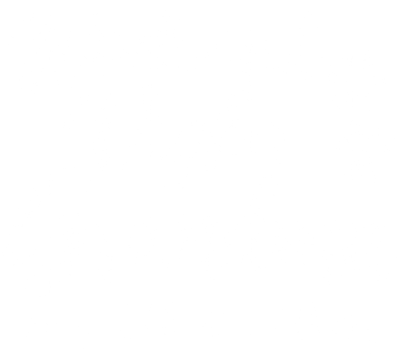 Illustrative chest print with example names