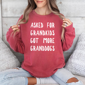 Asked for Grandkids Got more Granddogs