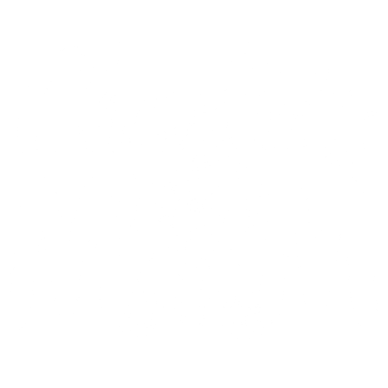 Illustrative chest print with example names