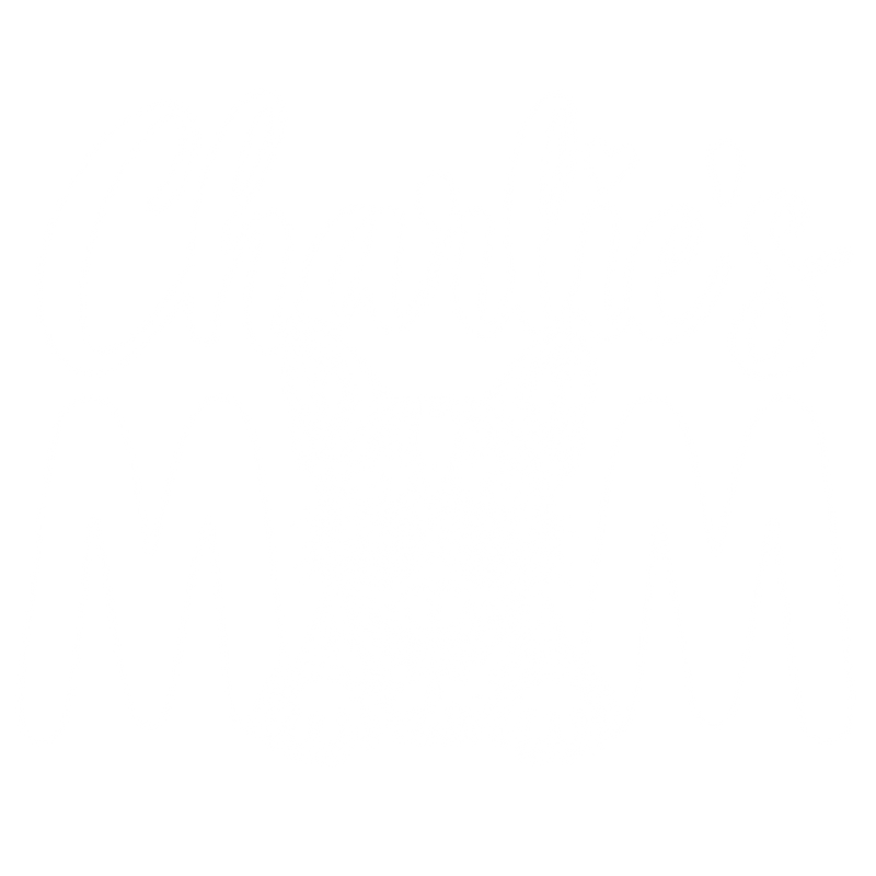 Illustrative chest print with example names