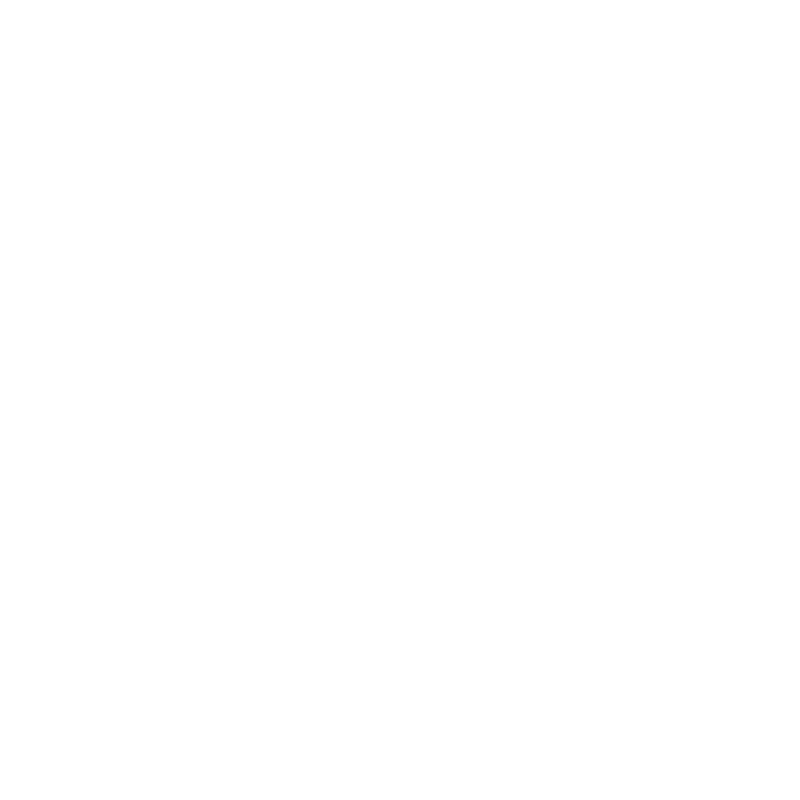 Illustrative chest print with example names