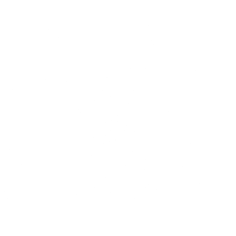 Illustrative chest print with example names