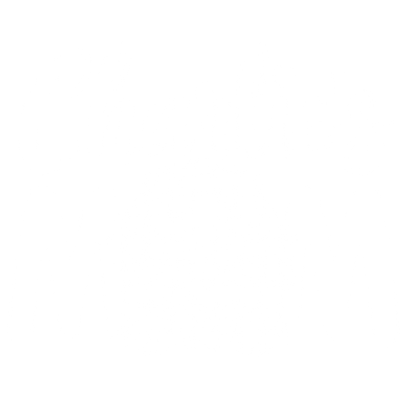 Illustrative chest print with example names