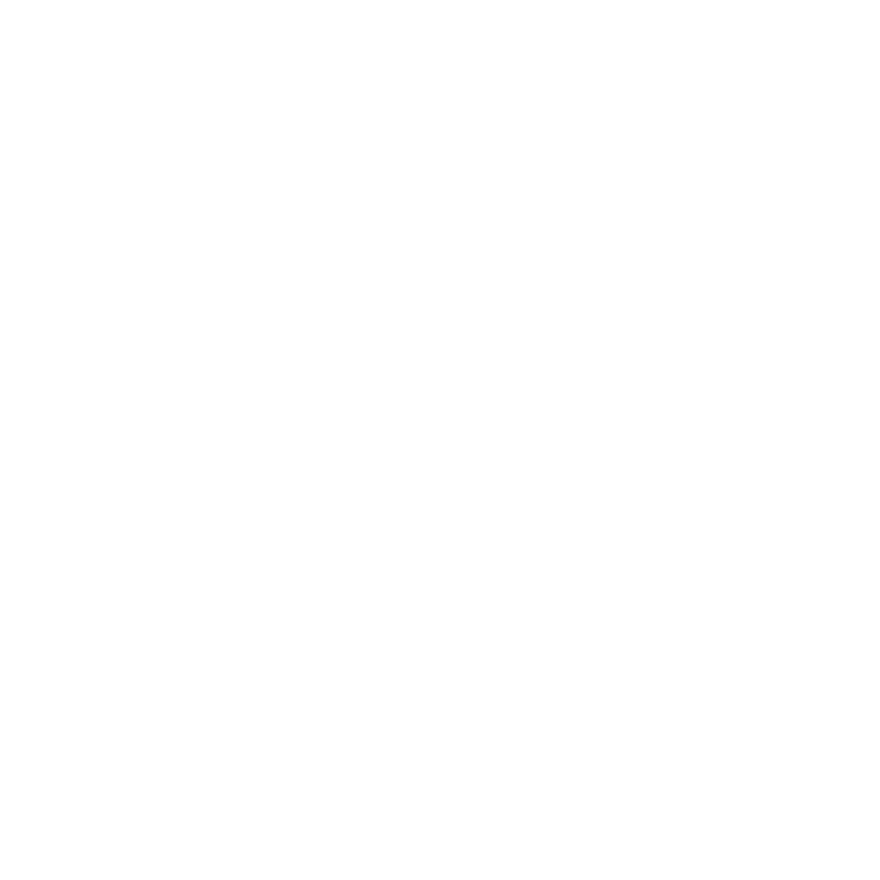 Illustrative chest print with example names