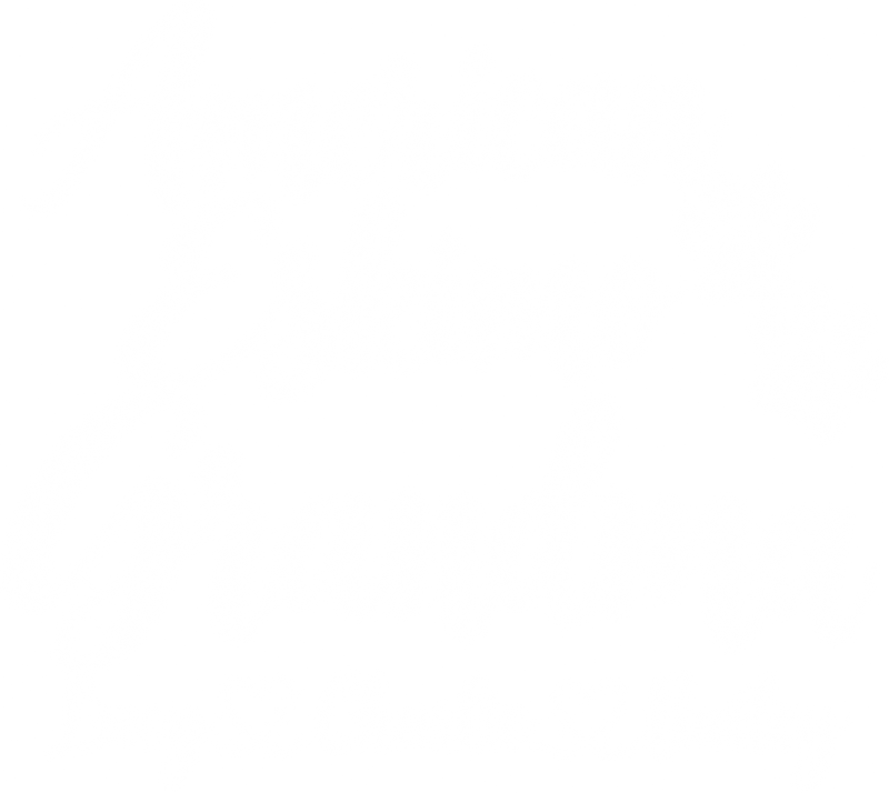 Illustrative chest print with example names
