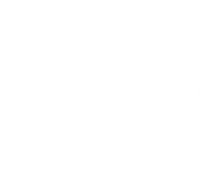 Illustrative chest print with example names