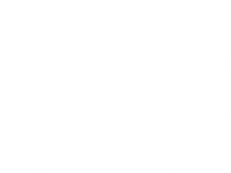 Illustrative chest print with example names