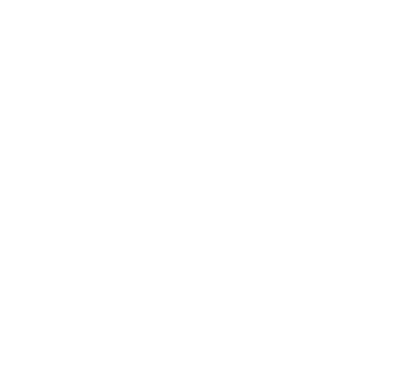 Illustrative chest print with example names