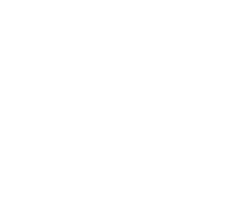 Illustrative chest print with example names