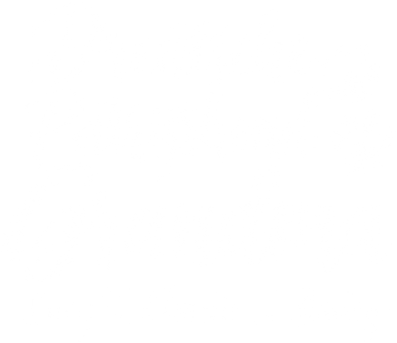 Illustrative chest print with example names