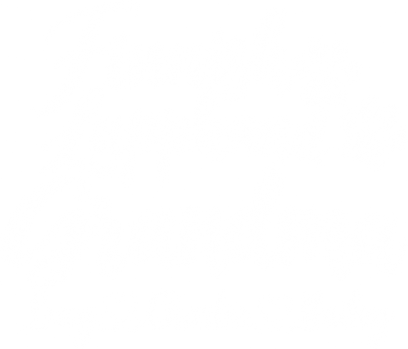 Illustrative chest print with example names
