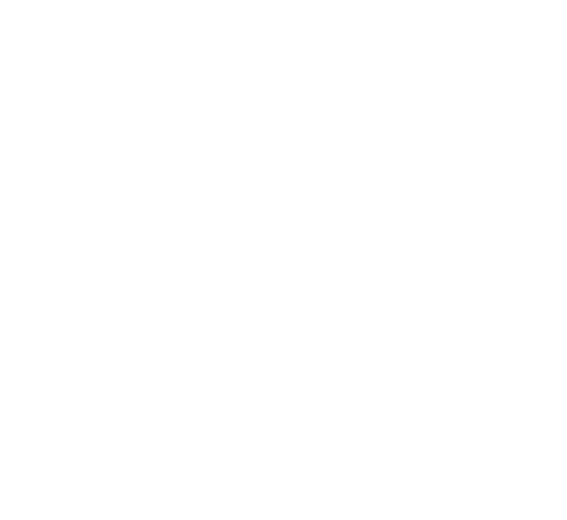 Illustrative chest print with example names