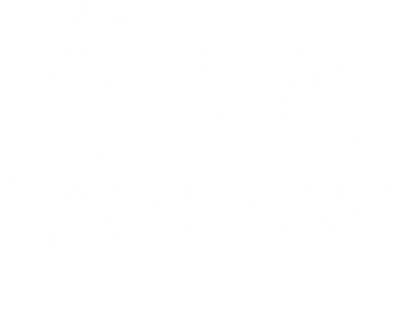 Illustrative chest print with example names