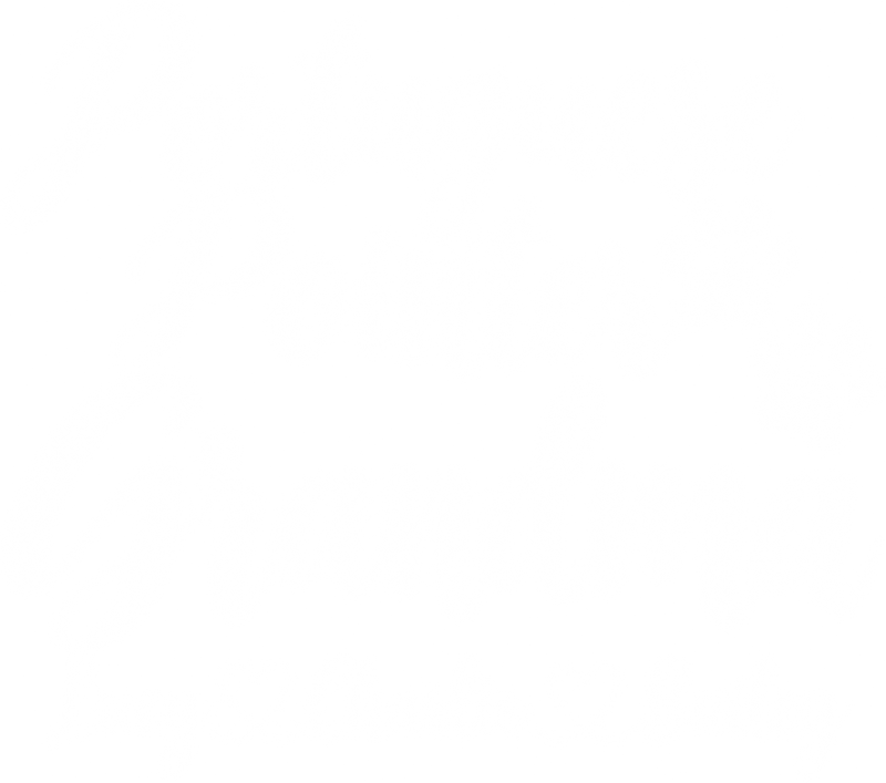 Illustrative chest print with example names