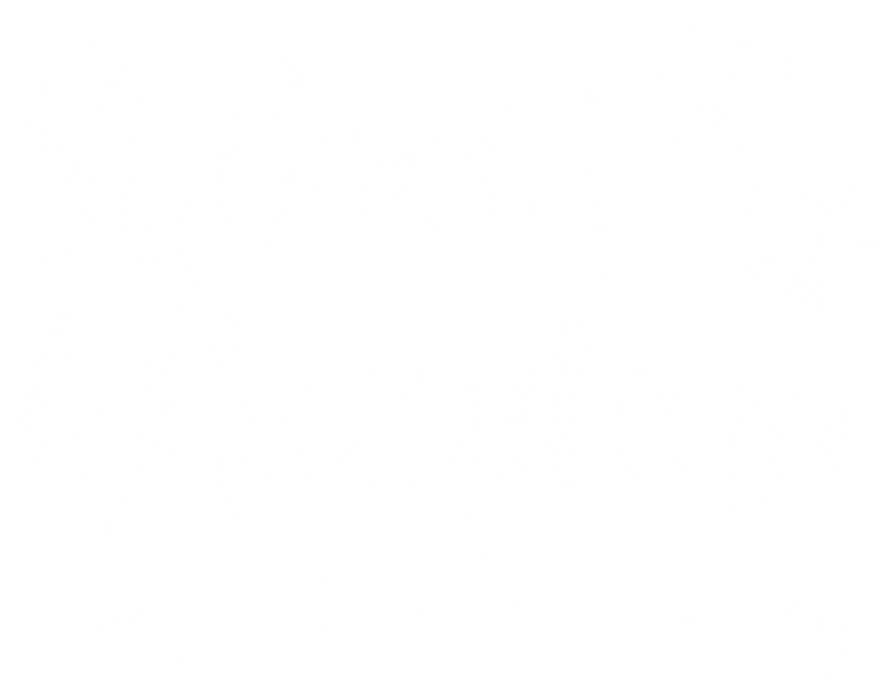 Illustrative chest print with example names