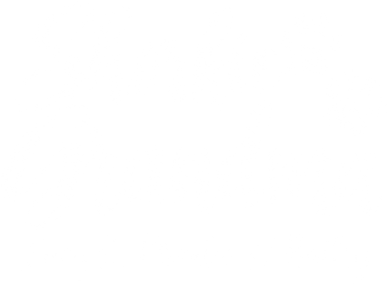 Illustrative chest print with example names