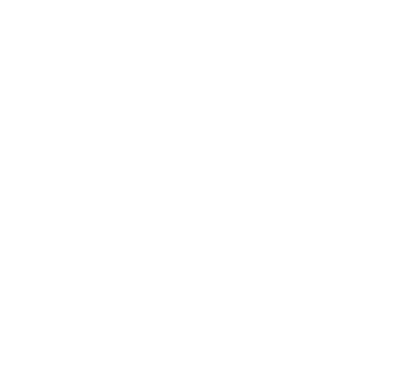 Illustrative chest print with example names