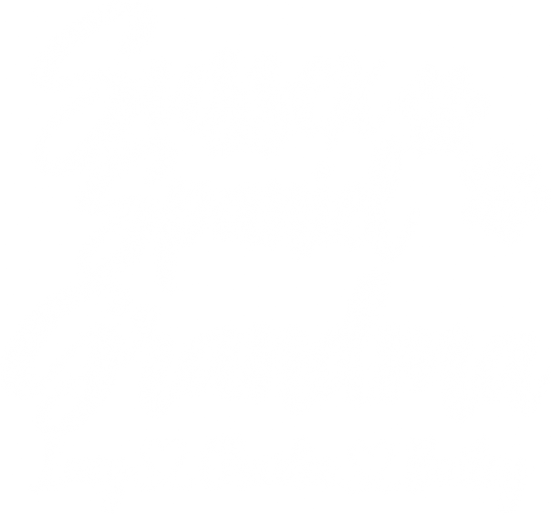 Illustrative chest print with example names