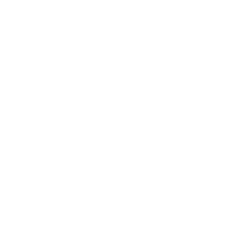 Illustrative chest print with example names